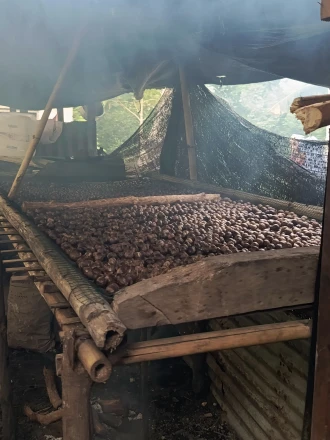 Para-para asaran pala